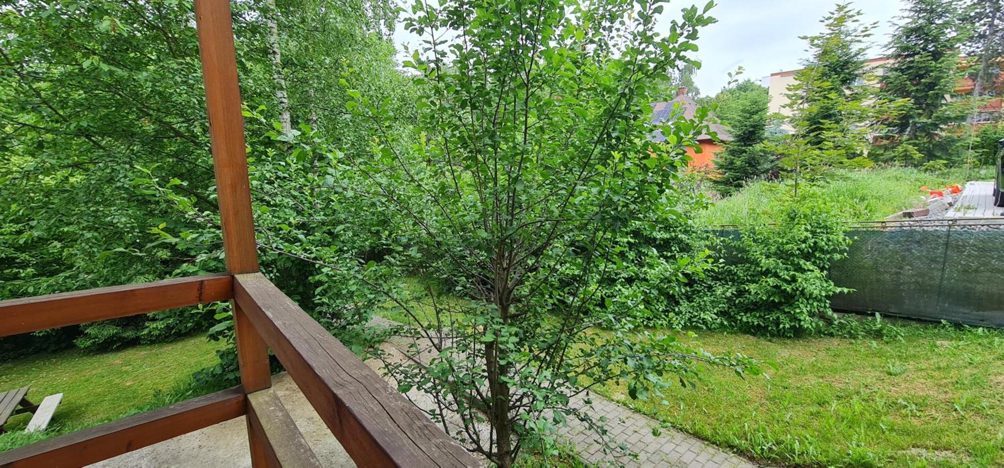Apartmany Orlová Exterior photo